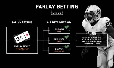 "Quick Guide: How to Bet on Football Like a Pro"