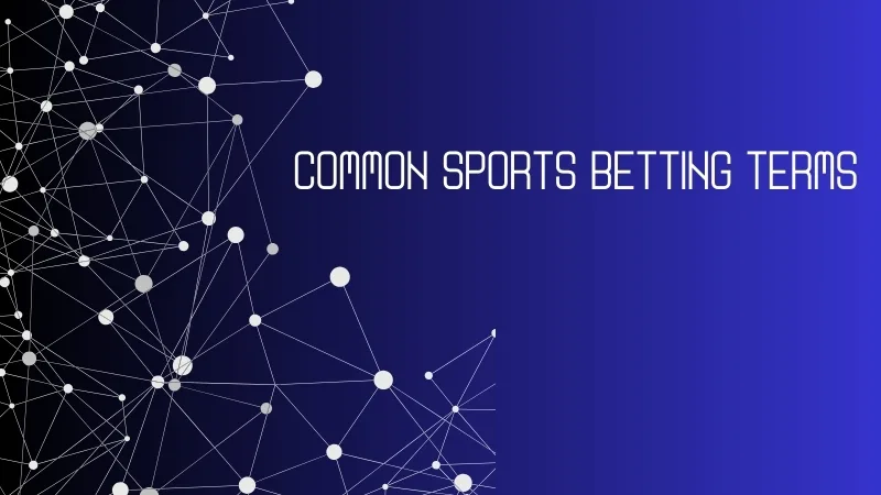 "Common Betting Jargon Explained in Simple Terms"