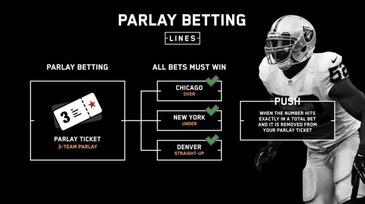 "Quick Guide: How to Bet on Football Like a Pro"